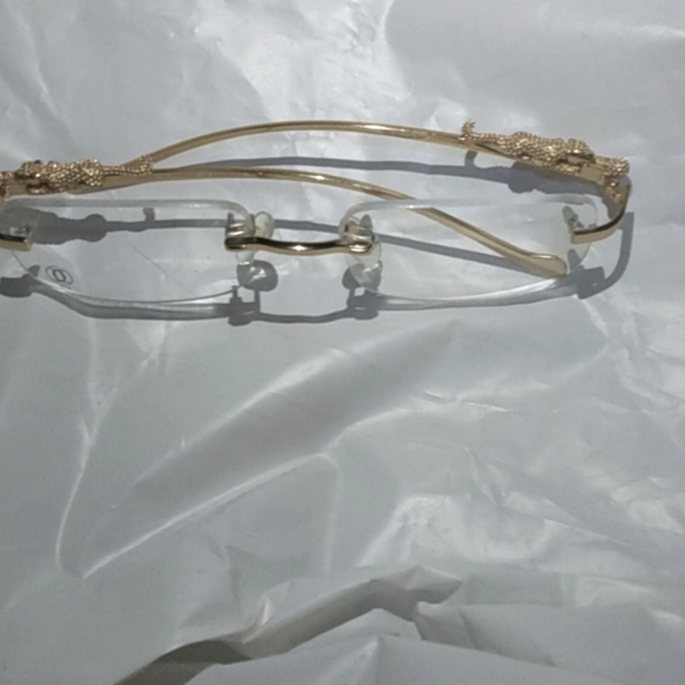 Cartier 31368665 made in France glass's